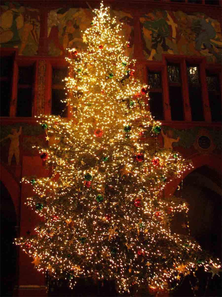 Christmas Tree Christmas Trees, Christmas Tree History, Xmas Trees 
